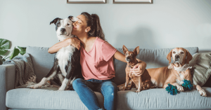 AKC Pet Insurance: Quick and Easy Enrollment Guide
